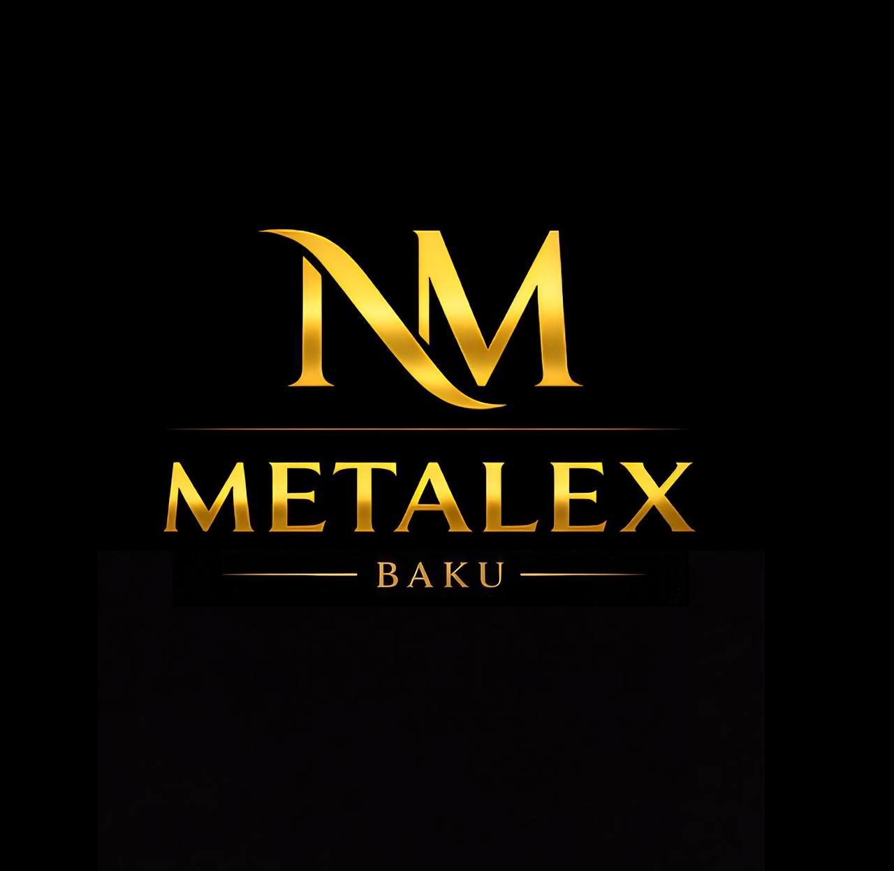 Metalex Studio Art logo